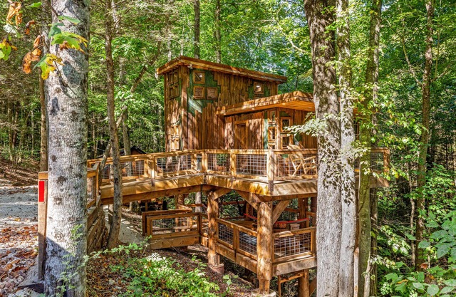 Pet-Friendly Treehouse - Amazonia - an exclusive experience in Red River Gorge, Kentucky!