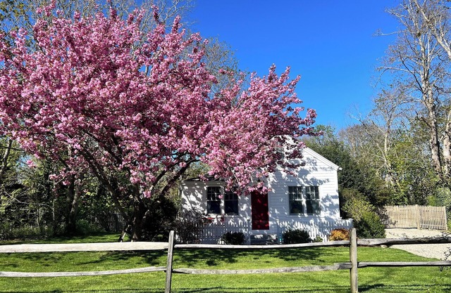 Petite Antique, location, location, location