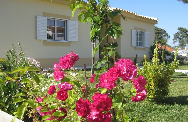 Kleine Pinewood Villa Sesimbra