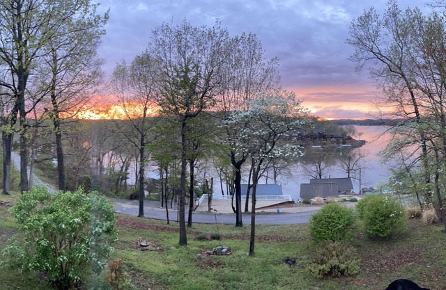 Pets! Spectacular view of the cove + main channel! Much to do nearby.