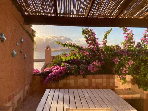 Pgs Immobiliare srls Pagello D Trilocale vista mare La Maddalena