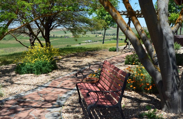 Pickleball @ Casa De-Vine in Paso Robles Wine Country, 10 Acres, Vineyard Views