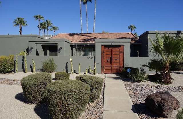 Mini Tennis! 10 Personen