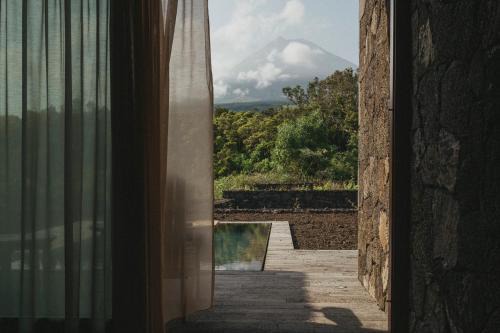 Pico Vineyards - by Unlock Hotels