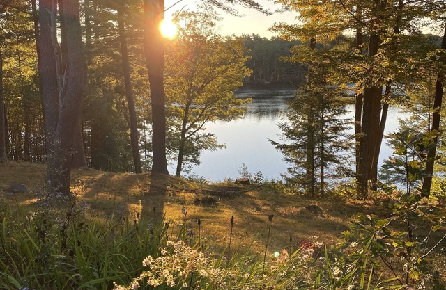 ** Cant Miss ** Lakefront Luxury Cabin - In der Nähe von allem!