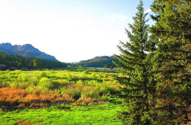 PERFEKT FÜR DEN URLAUB! PIKES PEAK RETREAT mit Panoramablick auf die Berge