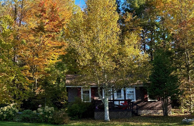 PINE COTTAGE: Pristine Echo Lake in the NEK of Vermont. Family and pet friendly!