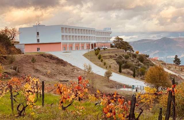 Placido Hotel Douro - Tabuaco