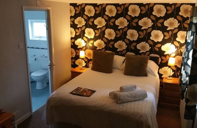 Plas Hyfryd Hotel