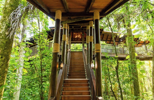 Platon Ecolodge