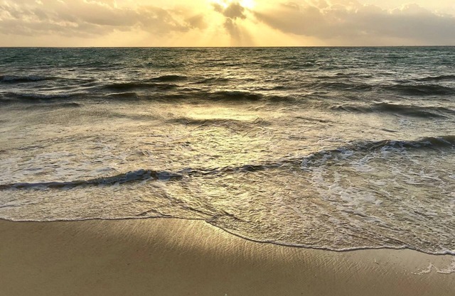 Playa Del Carmen - Schönes Studio 2