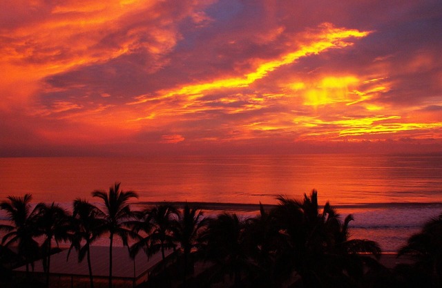 Playa Königlichen Oceanfront Condo