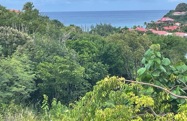 Pleasant, quiet villa five minutes' walk from the beach of st Jean🌴