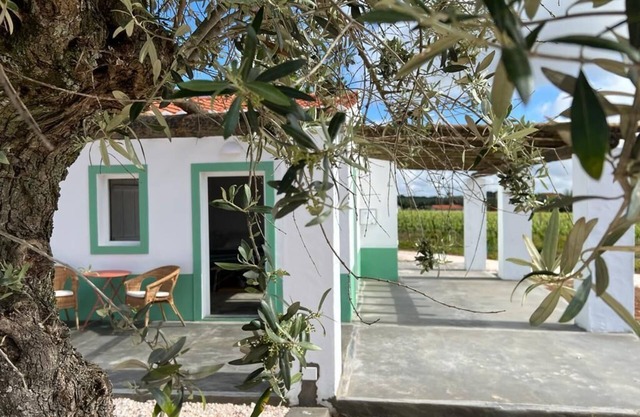 Pleno Alentejo Rodeado de Vinhas e Junto as Cidades de Borba, Vila Viçosa e Estr