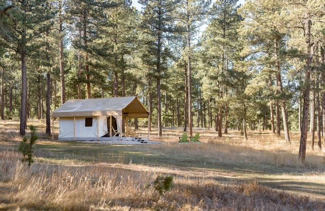 Plush canvas tent in the forest