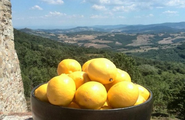Podere Lama
