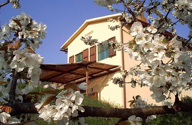 Podere Mazzana: Häuser in Marti - Montopoli Val d'Arno
