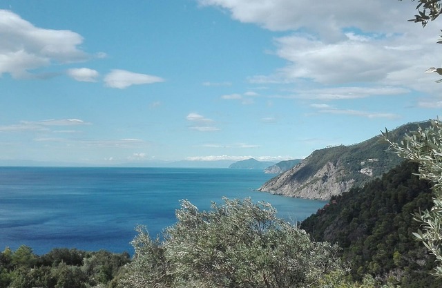 Poggio del Salice: Wohnung Cinque Terre mit Terrasse-4 Personen / Citra 011005LT0087
