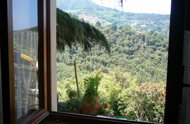 Poggio: Komfortable Wohnung im historischen Zentrum in Poggio