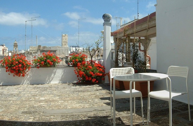 Polignano a Mare, Rote Blumen Haus mit Terrasse