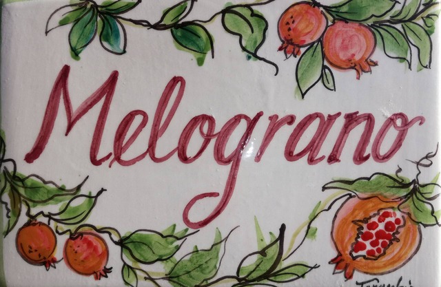Casa Ansietta "Melograno"