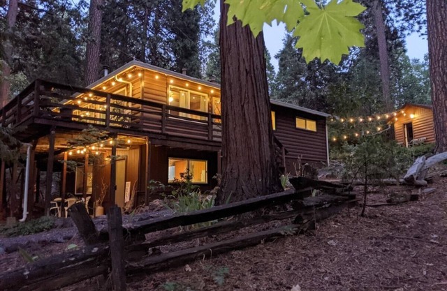 Ponderosa Paradise, Bonus Studio, Arcade Cabin, Walk To Town, Entire Cabin