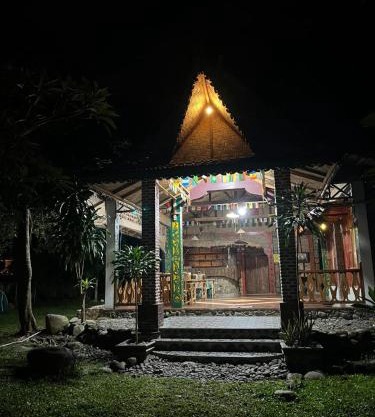 Pongo Guest House & only jungle trekking whit us