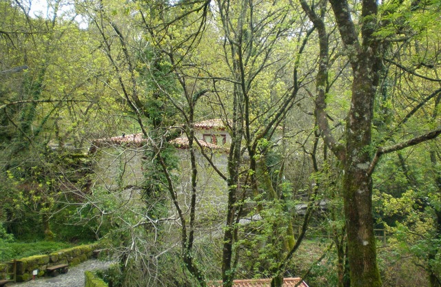 Pontido Fafe Dorf