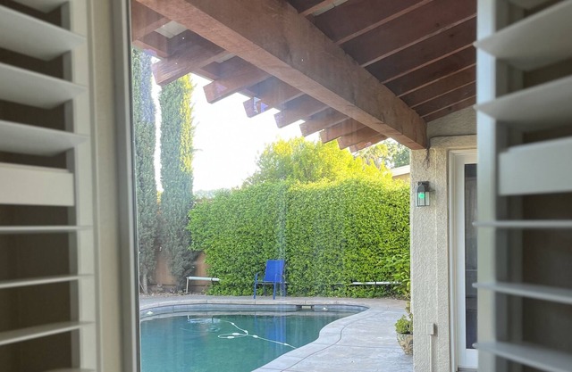 Poolside Paradise