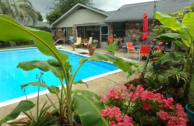 Poolside Paradise
