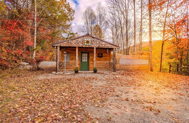Poppa Bear Cabin