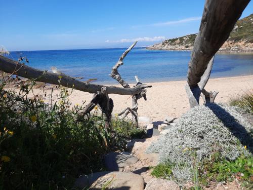 Porto Quadro vista Mare e vista Corsica