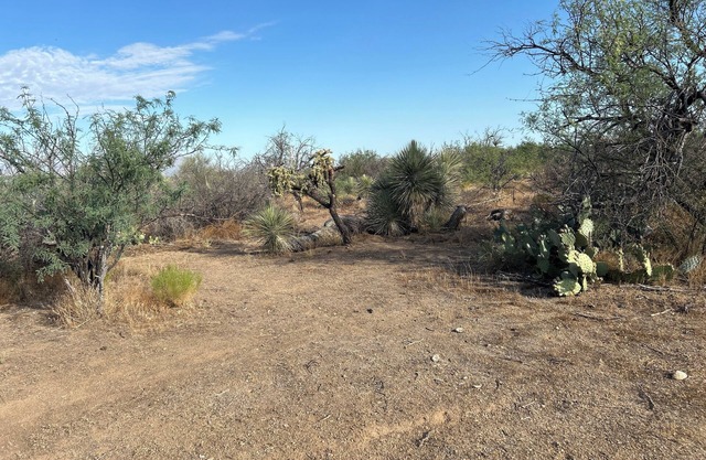 Post apocalyptic outpost as a campground in Tucson