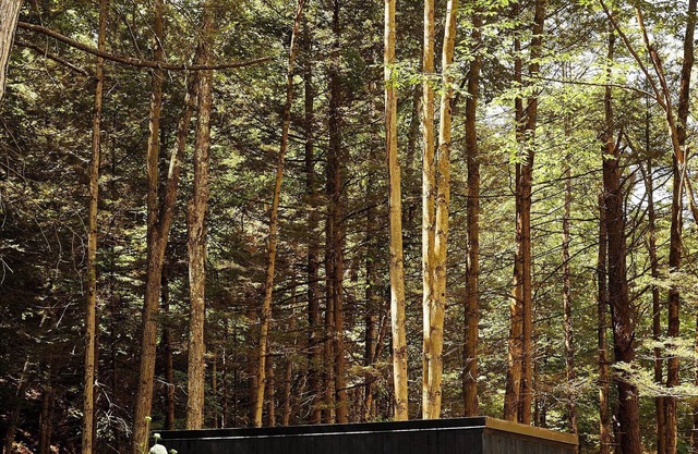 Postcard Cabins Eastern Catskills