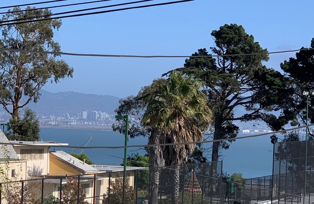 Potrero Hill View Home on the Park