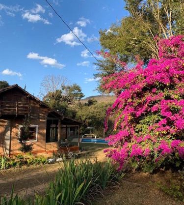 Pousada Árvore Centenária