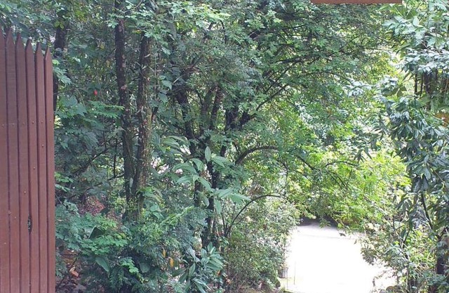 Pousada Murmúrio das Águas