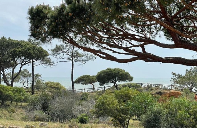 Praia da Falésia Alfa Mar Albufeira