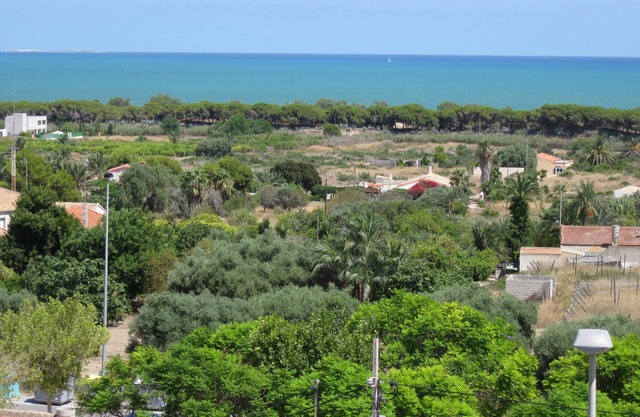 Premier Apartment in La Marina Village -Wow Sea View. 750m country walk to Beach