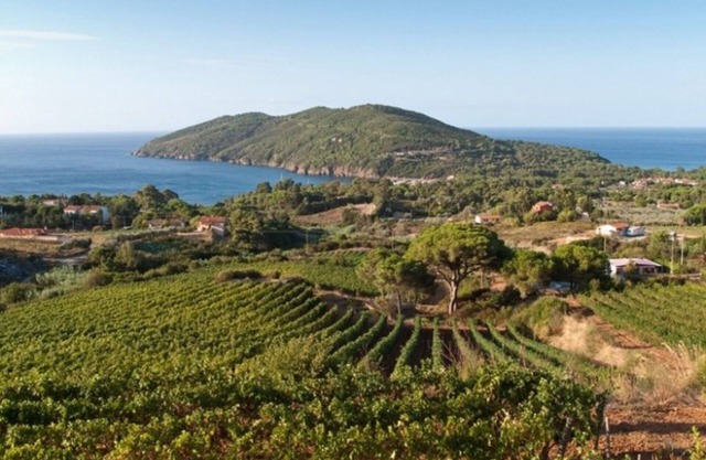 Prestigious Villa Francy in a panoramic position