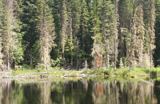 Priest Lake Reeder Bay Retreat auf 3 Morgen 3 Schlafzimmer 2 Badezimmer 8 Personen