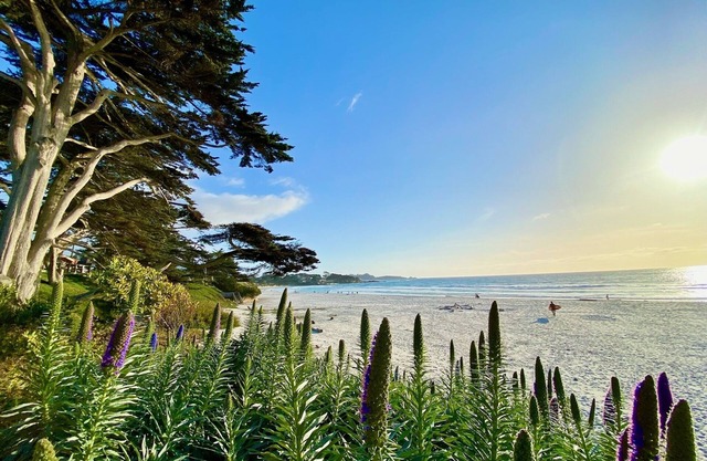 PRIME DOWNTOWN LOCATION-2br/2bath/office-Charming Cottage