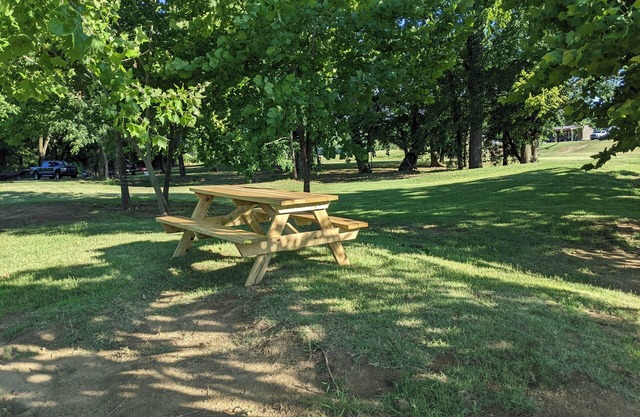 Primitive Riverside Camping with picnic table, from, and pet friendly