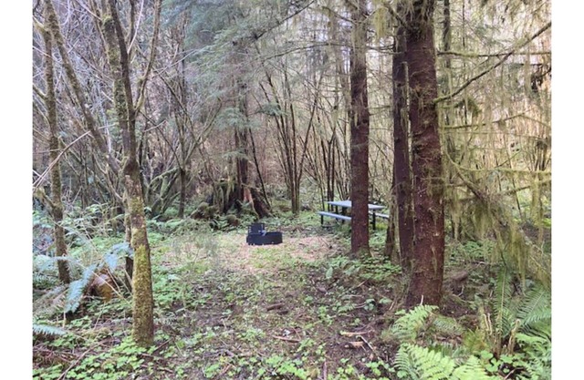 Primitive Tent Site #8- Beautiful Forested Property