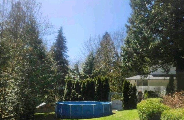 Private Basement suite, beautiful ravine! Perfect, Relaxation or Celebration 🤩