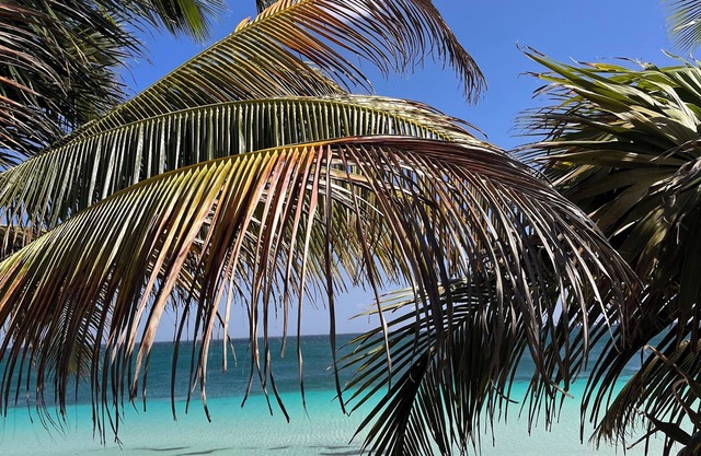 Private beach front eco-chic hotel in the best location of Tulum Beach