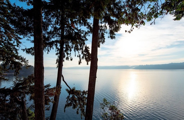 Private Beach Hood Canal, Sleeps 10, Olympic NP