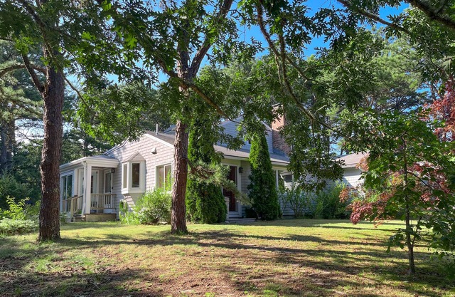 Private, beautifully renovated home - walk to Wellfleet Cinemas & Rail Trail