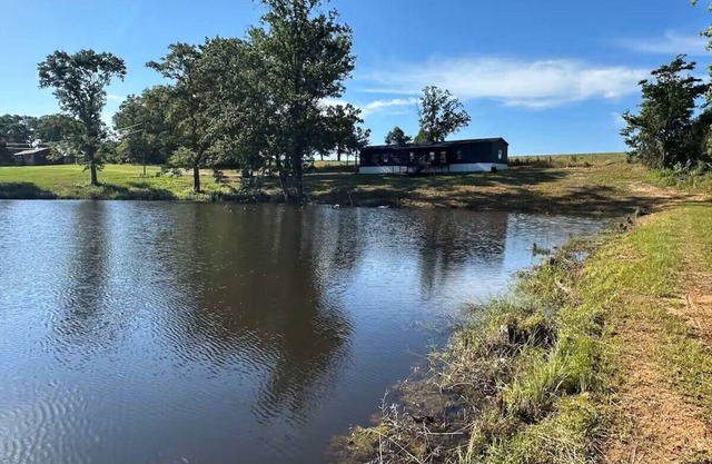 Private Cabin, 3 Bed Rooms, 2 Bath, nestled in the woods on a spring fed pond!!!