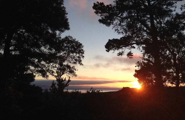 Private Carmel Woods, Dog Friendly, by Monterey, Pebble Beach, Big Sur